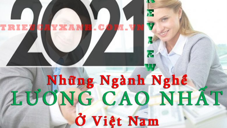 Review Những Ngành Nghề Lương Cao Nhất Ở Việt Nam